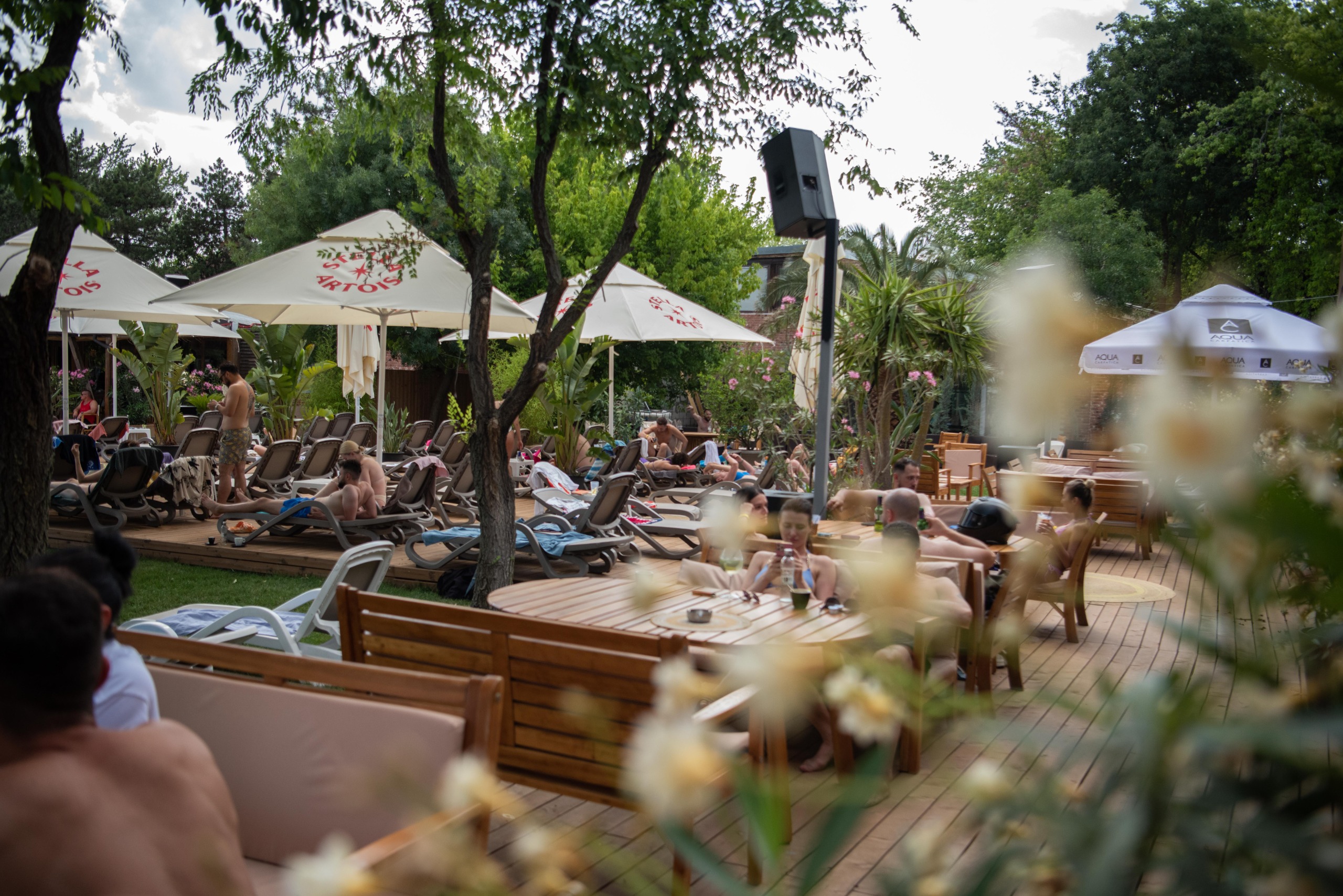 Descopera Puterea unui Stil de Viata Echilibrat la Daimon Club